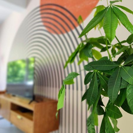 Le Rainbow - Grand Studio Avec Terrasse Dunkirk Kültér fotó